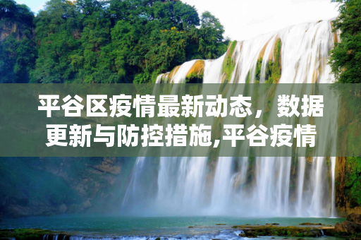 平谷区疫情最新动态，数据更新与防控措施,平谷疫情最新数据消息