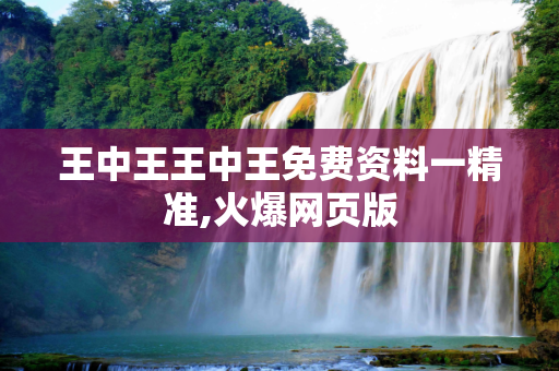 王中王王中王免费资料一精准,火爆网页版