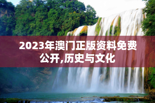 2023年澳门正版资料免费公开,历史与文化
