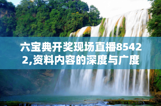 六宝典开奖现场直播85422,资料内容的深度与广度