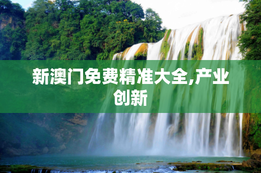 新澳门免费精准大全,产业创新