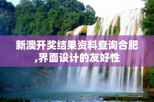 新澳开奖结果资料查询合肥,界面设计的友好性