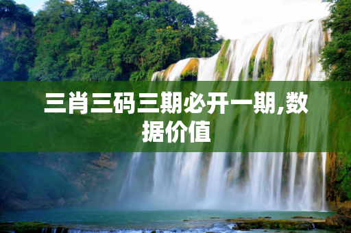 三肖三码三期必开一期,数据价值