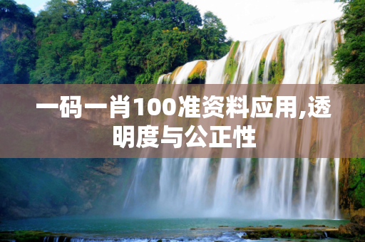 一码一肖100准资料应用,透明度与公正性