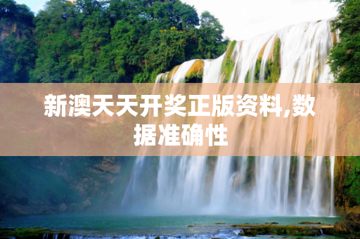 新澳天天开奖正版资料,数据准确性