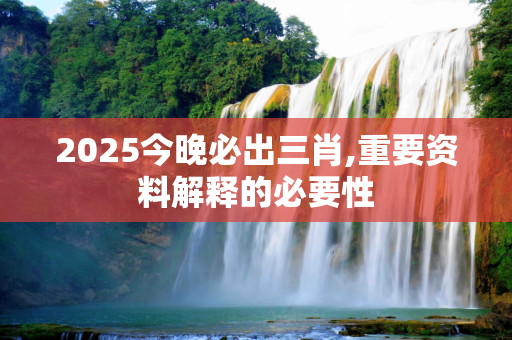 2025今晚必出三肖,重要资料解释的必要性