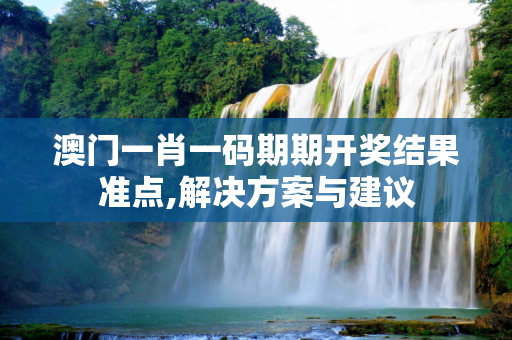 澳门一肖一码期期开奖结果准点,解决方案与建议