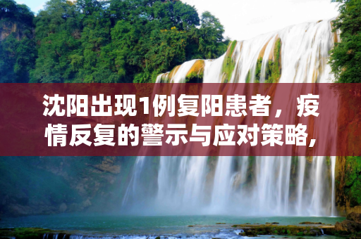 沈阳出现1例复阳患者，疫情反复的警示与应对策略,沈阳现1例复阳患者