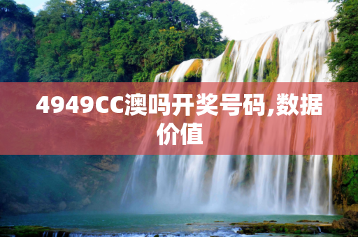 4949CC澳吗开奖号码,数据价值