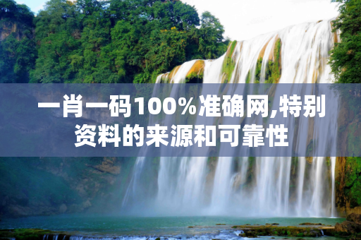 一肖一码100%准确网,特别资料的来源和可靠性