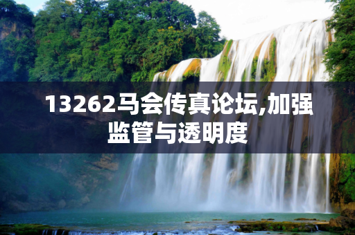 13262马会传真论坛,加强监管与透明度