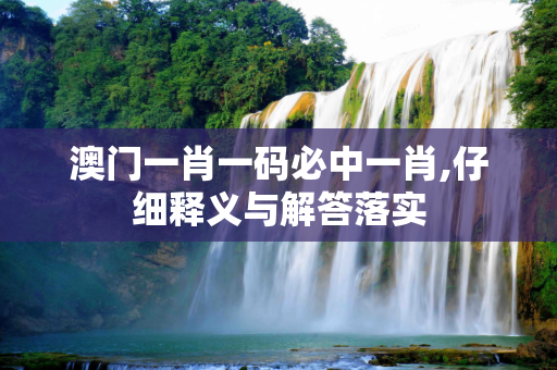澳门一肖一码必中一肖,仔细释义与解答落实