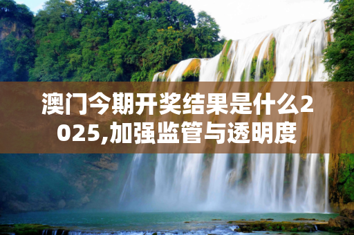 澳门今期开奖结果是什么2025,加强监管与透明度