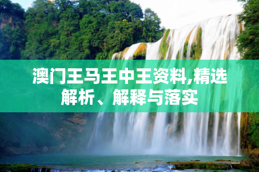 澳门王马王中王资料,精选解析、解释与落实