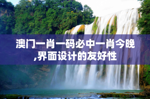 澳门一肖一码必中一肖今晚,界面设计的友好性
