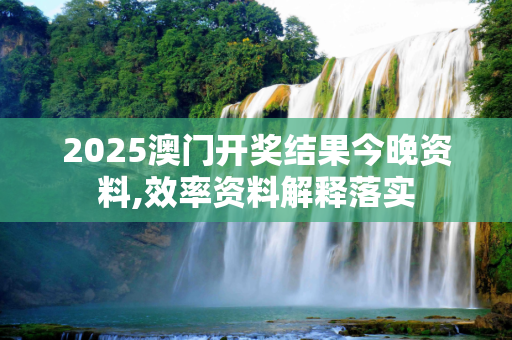 2025澳门开奖结果今晚资料,效率资料解释落实