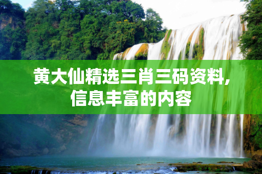 黄大仙精选三肖三码资料,信息丰富的内容