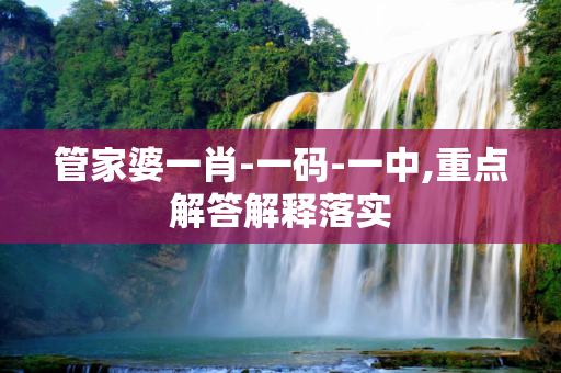 管家婆一肖-一码-一中,重点解答解释落实
