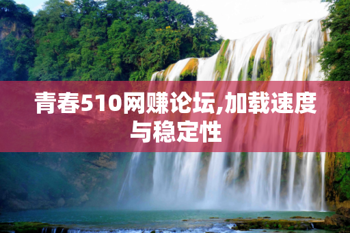 青春510网赚论坛,加载速度与稳定性
