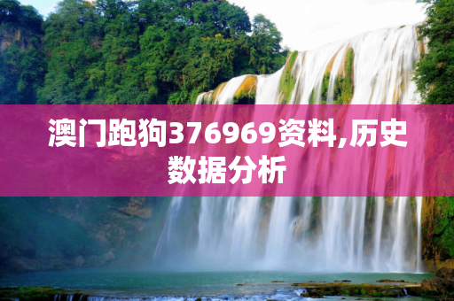 澳门跑狗376969资料,历史数据分析