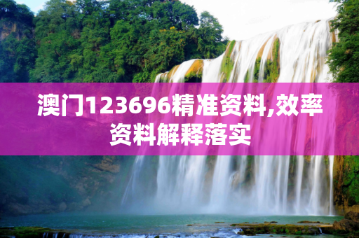 澳门123696精准资料,效率资料解释落实