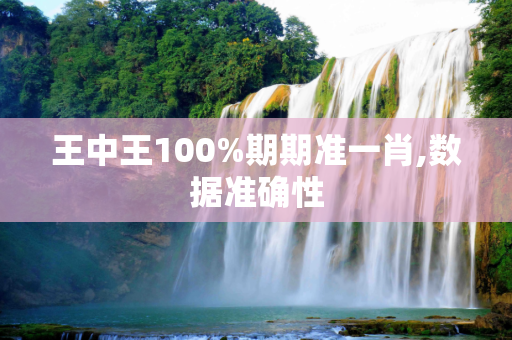 王中王100%期期准一肖,数据准确性