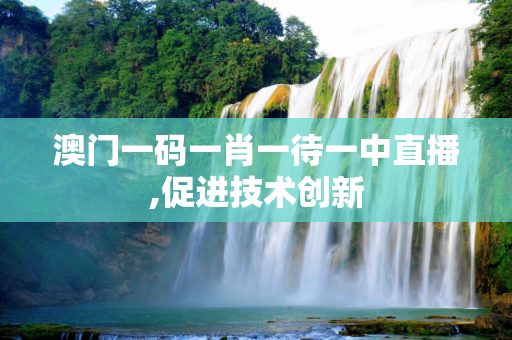 澳门一码一肖一待一中直播,促进技术创新