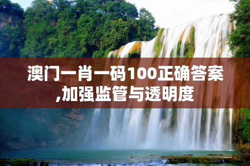 澳门一肖一码100正确答案,加强监管与透明度