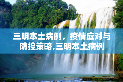 三明本土病例，疫情应对与防控策略,三明本土病例