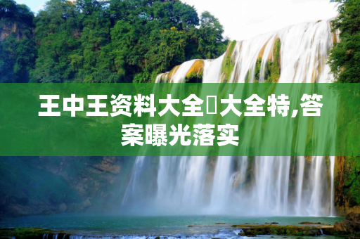 王中王资料大全枓大全特,答案曝光落实