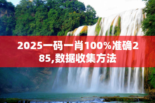 2025一码一肖100%准确285,数据收集方法