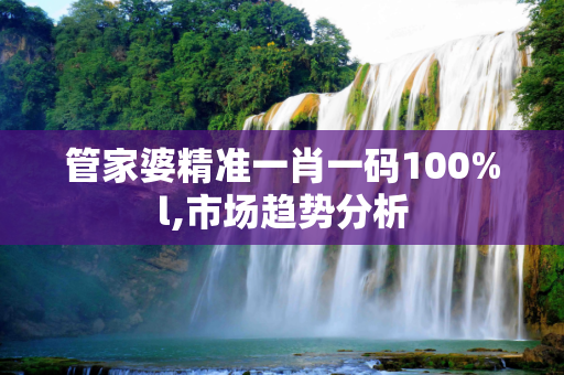 管家婆精准一肖一码100%l,市场趋势分析