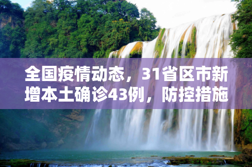 全国疫情动态，31省区市新增本土确诊43例，防控措施持续加强,31省区市新增本土确诊43例
