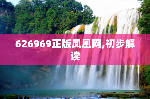 626969正版凤凰网,初步解读