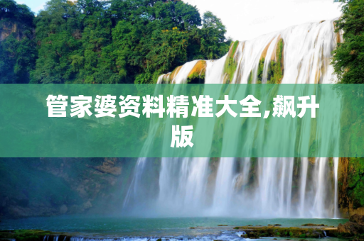 管家婆资料精准大全,飙升版