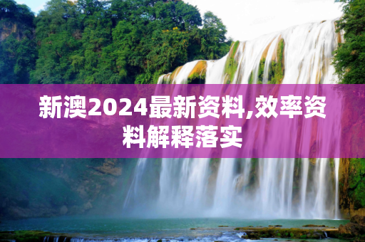 新澳2024最新资料,效率资料解释落实