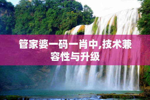 管家婆一码一肖中,技术兼容性与升级
