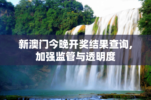 新澳门今晚开奖结果查询,加强监管与透明度