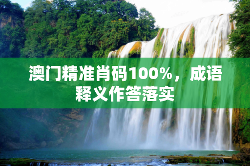 澳门精准肖码100%，成语释义作答落实