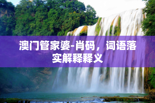 澳门管家婆-肖码，词语落实解释释义
