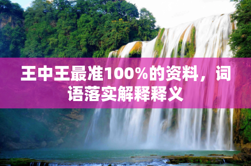 王中王最准100%的资料，词语落实解释释义