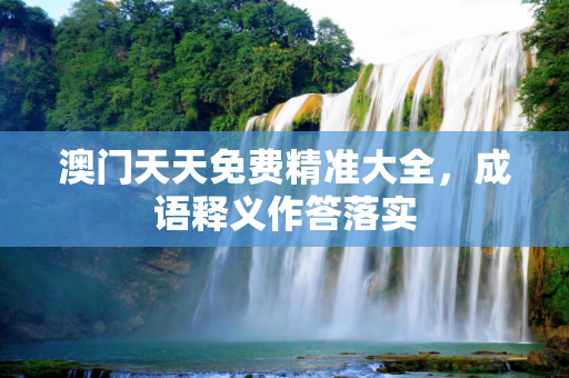 澳门天天免费精准大全，成语释义作答落实