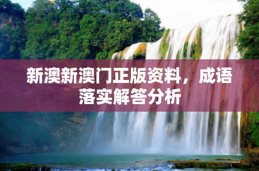新澳新澳门正版资料，成语落实解答分析
