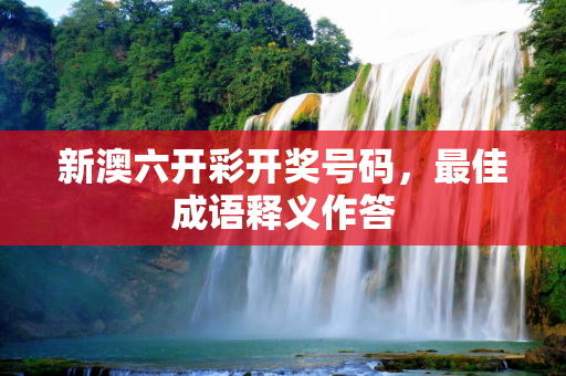 新澳六开彩开奖号码，最佳成语释义作答