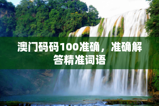 澳门码码100准确，准确解答精准词语