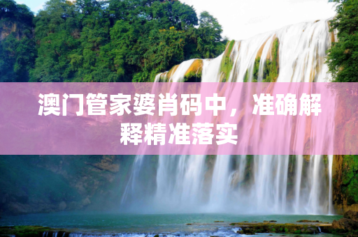 澳门管家婆肖码中，准确解释精准落实