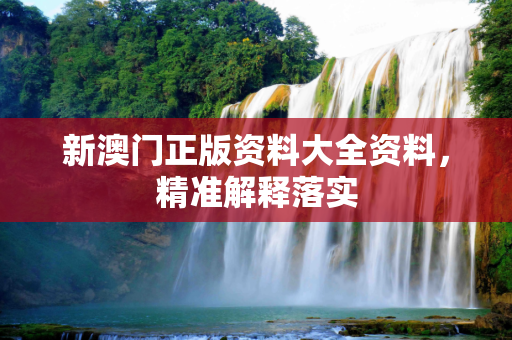 新澳门正版资料大全资料，精准解释落实
