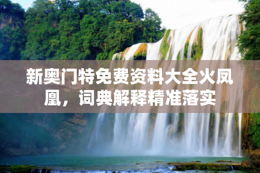 新奥门特免费资料大全火凤凰，词典解释精准落实