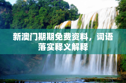新澳门期期免费资料，词语落实释义解释