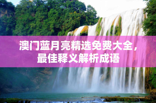 澳门蓝月亮精选免费大全，最佳释义解析成语